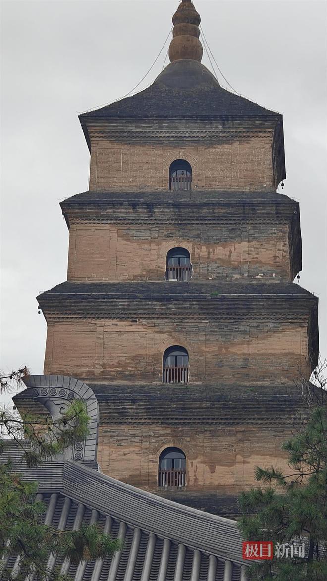 长蘑菇大雁塔受潮城墙布满青苔气象局解释成因pg电子中国网站西安连续一个多月降雨遍地(图4)